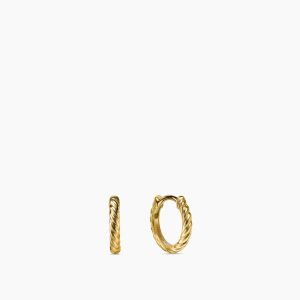 Small Hoop Earrings